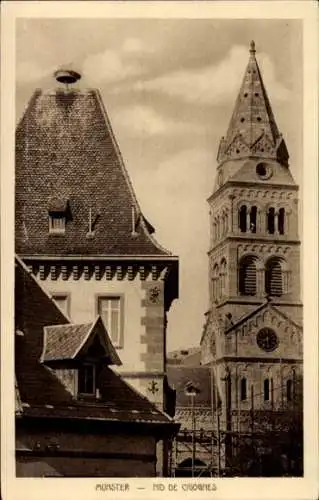 Ak Munster Münster Elsass Haut Rhin, Nid de Cigognes