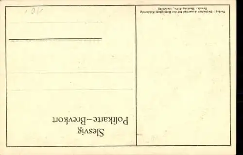 Künstler Ak Flensburg in Schleswig Holstein, Volksabstimmung 1920