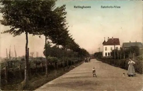 Ak Kellinghusen in Schleswig Holstein, Bahnhofsallee