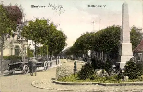 Ak Elmshorn in Schleswig Holstein, Kaltenweide, Denkmal