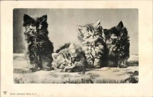 Ak Vier junge Katzen, Katzenbabys