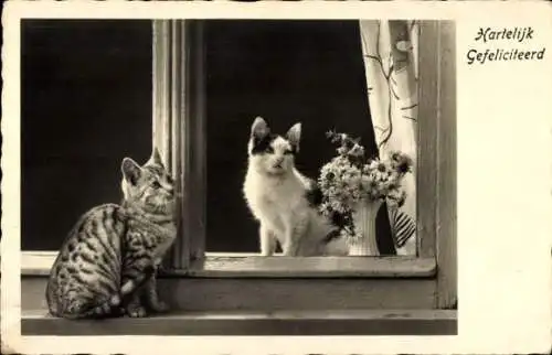 Ak Glückwunsch, Zwei Katzen am Fenster, Blumenstrauß