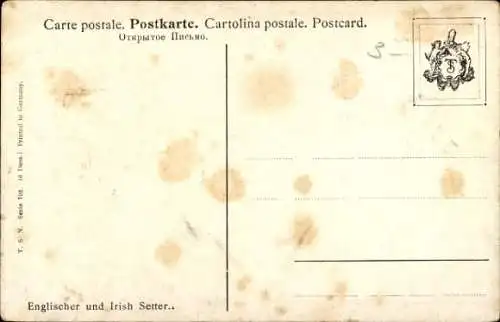 Ak Englischer und Irish Setter, Hunde