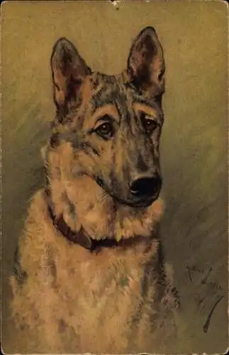 Künstler Ak Hundeportrait, Schäferhund