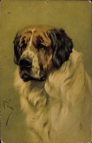 Künstler Ak Hundeportrait, Bernhardiner