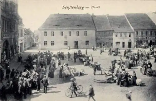 Ak Senftenberg in der Niederlausitz, Markt