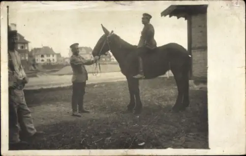 Foto Ak Deutsche Soldaten in Uniformen, Maultier, Kaiserzeit
