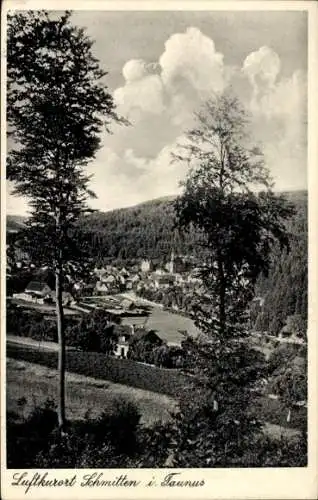 Ak Schmitten im Taunus Hessen, Panorama