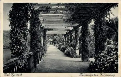 Ak Bad Pyrmont in Niedersachsen, Palmengarten, Fürstenweg