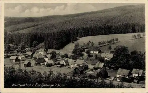 Ak Wildenthal Eibenstock im Erzgebirge, Gesamtansicht, Wald