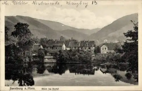 Ak Ilsenburg im Harz, Teilansicht, Ilsetal