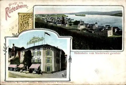 Ak Rüdesheim am Rhein in Hessen, Hotel Bellevue, Ansicht vom Niederwald aus