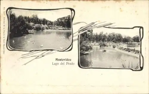 AK Montevideo, Uruguay, Prado-See