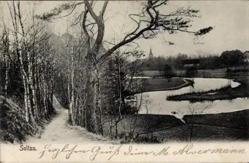 Ak Soltau Lüneburger Heide Niedersachsen, Teilansicht, Birken