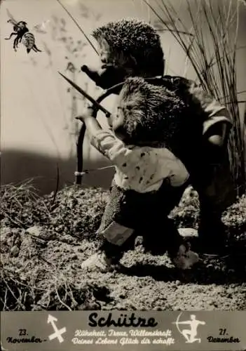 Ak Mecki der Igel, Sternzeichen Schütze, Sagittarius, 23. November bis 21. Dezember