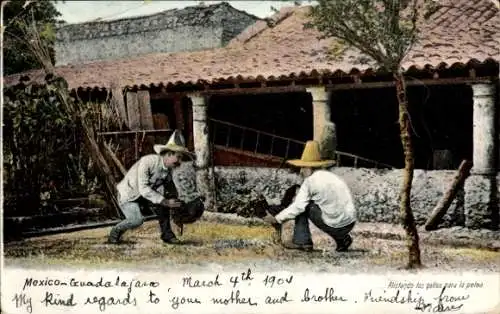 Ak Mexiko, Alistando los gallos para la pelea, Hühnerkampf, Hahnenkampf, Mexikaner