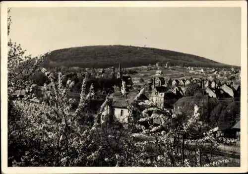 Ak Hofheim im Taunus Hessen, Gesamtansicht, Blick vom Gickelsberg