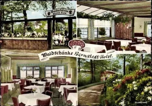 Ak Barmstedt in Holstein, Waldschänke Zum Pilz, Terrasse, Eingang, Innenräume, Blumenweg