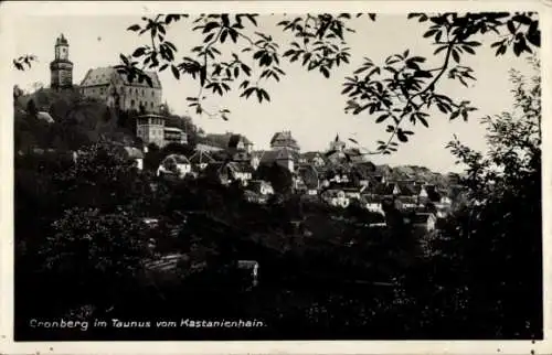 Ak Kronberg im Taunus, Teilansicht, Blick vom Kastanienhain