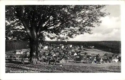 Ak Braunlage Oberharz, Panorama, Baum