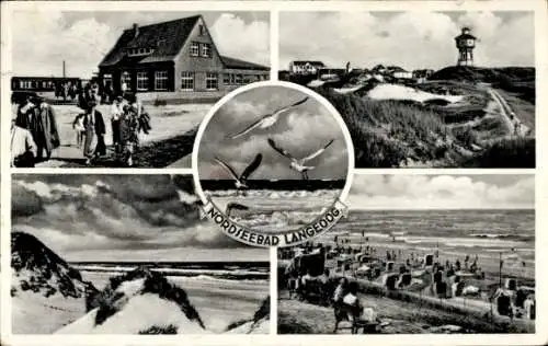 Ak Nordseebad Langeoog, Teilansichten, Strand, Dünen, Möwen