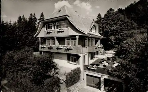 Ak Hinterzarten im Schwarzwald, Haus Tannenhof