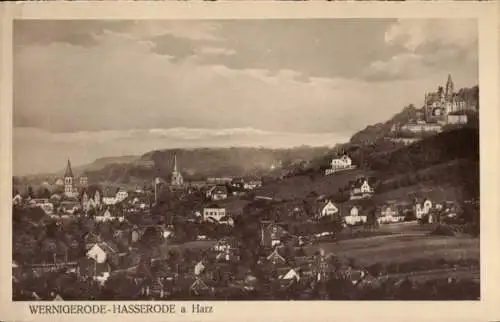 Ak Hasserode Wernigerode im Harz, Panorama