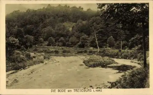 Ak Treseburg Thale im Harz, Die Bode