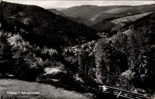 Ak Triberg im Schwarzwald, Wasserfallberg