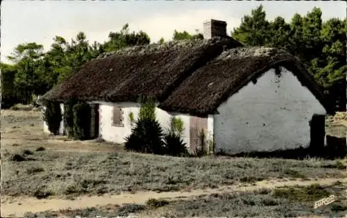Ak Saint Jean de Monts Vendée, Une Bourine