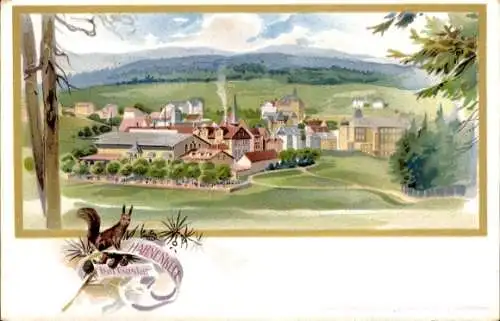 Litho Hahnenklee Bockswiese Goslar im Harz, Panorama