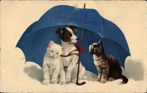 Ak Regenschirm, Hund und Katzen