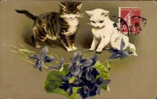 Ak Zwei Katzen bewundern Veilchen