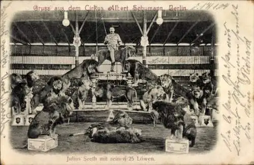 Ak Cirkus Albert Schumann, Berlin, Dompteur Julius Seeth mit seinen 25 Löwen