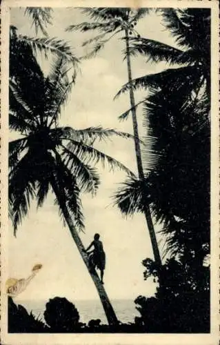 Ak Carolines Karolinen Mikronesien Ozeanien, Mann klettert auf Palme