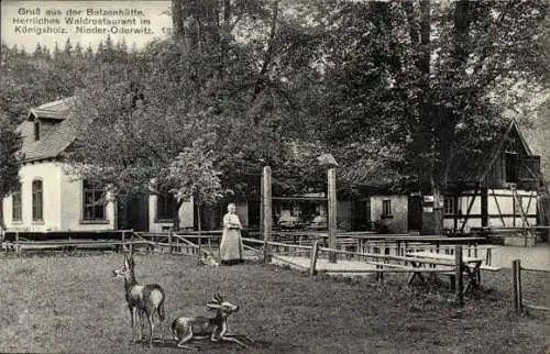 Ak Niederoderwitz Oderwitz in der Oberlausitz, Batzenhütte