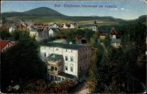 Ak Szczawno Zdrój Bad Salzbrunn Niederschlesien, Schwedenhof mit Hochwald
