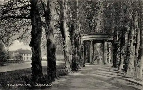 Ak Neustrelitz in Mecklenburg, Tempelallee
