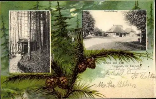 Mondschein Litho Kasseedorf in Ostholstein, Sandfeldkrug, Tannenzweige, Tannenzapfen