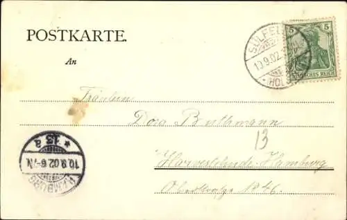 Ak Sülfeld in Holstein, Villa, Bäume