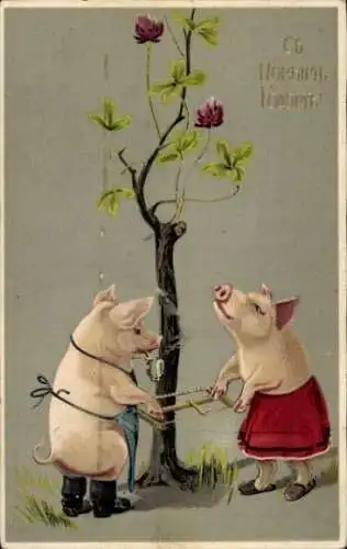 Künstler Ak Neujahr, Schweine