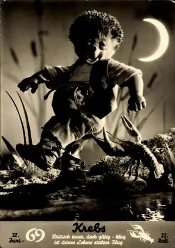 Ak Mecki der Igel, Sternzeichen Krebs, Cancer, 22. Juni bis 22. Juli