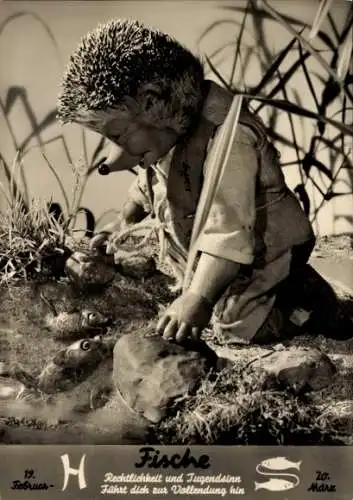 Ak Mecki der Igel, Sternzeichen Fische, Pisces, 19. Februar bis 20. März