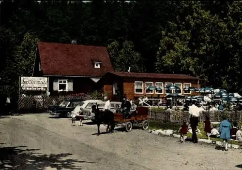 Ak Hofheim im Taunus Hessen, Waldgaststätte Zur Viehweide, Außenansicht, Kutsche, Terrasse