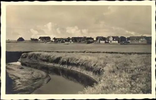 Ak Norddorf auf Amrum Nordfriesland, Am Wiesenrand, Ortsblick