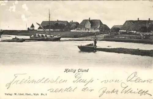 Ak Hallig Oland Nordfriesland, Teilansicht