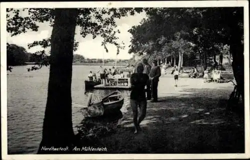 Ak Nordhastedt in Dithmarschen, Mühlenteich