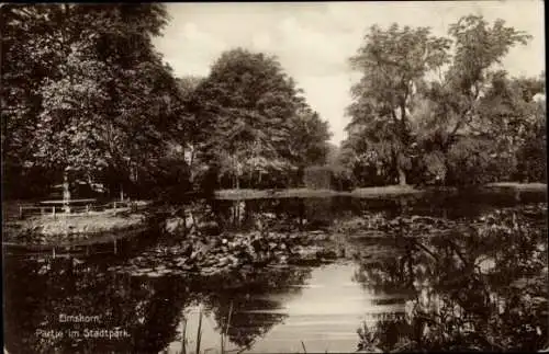 Ak Elmshorn in Holstein, Stadtpark, Teilansicht