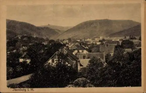 Ak Ilsenburg im Harz, Teilansicht