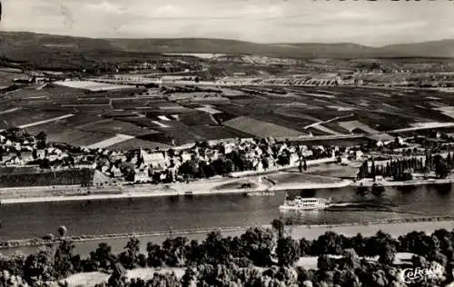 Ak Hattenheim Eltville am Rhein Hessen, Panorama